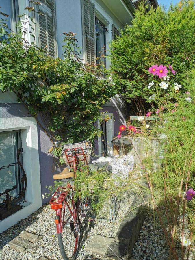 Homestay Petit Nid *