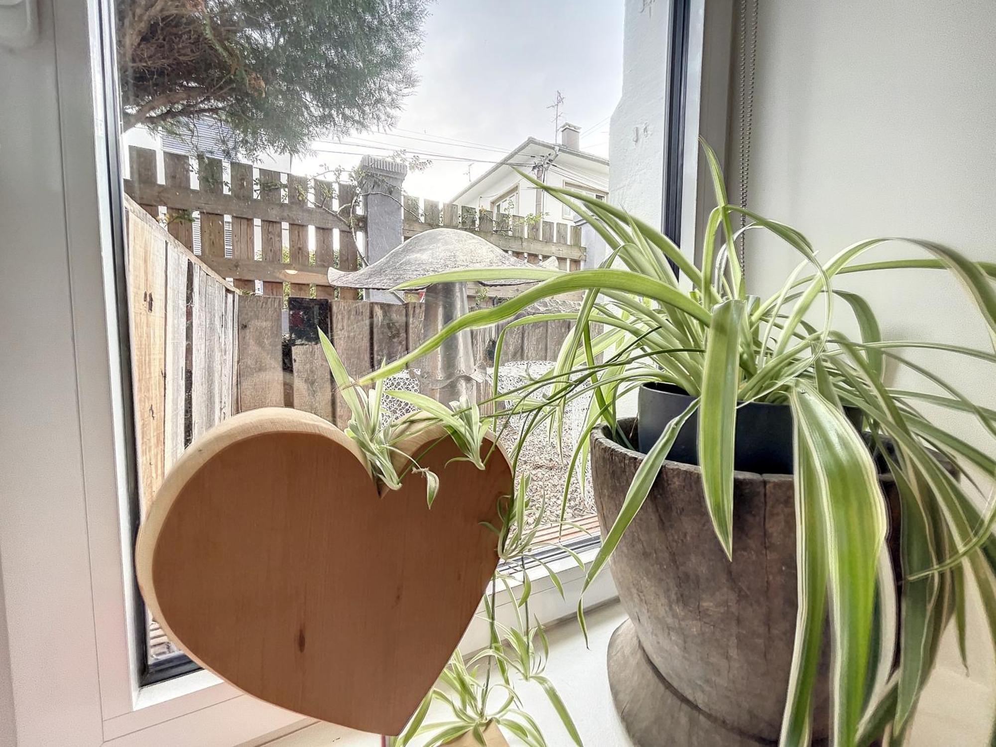 Petit Nid Homestay Strasbourg
